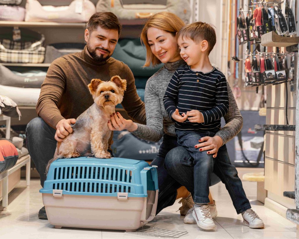 What to Pack for Dog Boarding in Dubai: Essential Checklist for Pet Parents