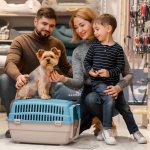 What to Pack for Dog Boarding in Dubai: Essential Checklist for Pet Parents